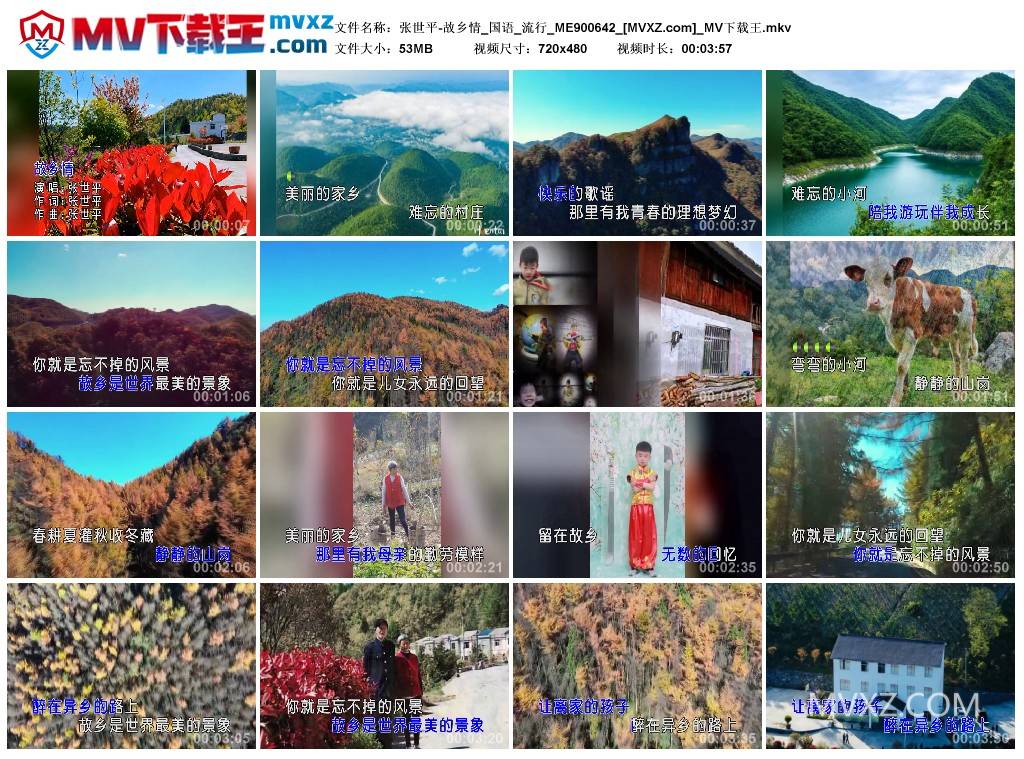 张世平-故乡情_国语_流行_ME900642